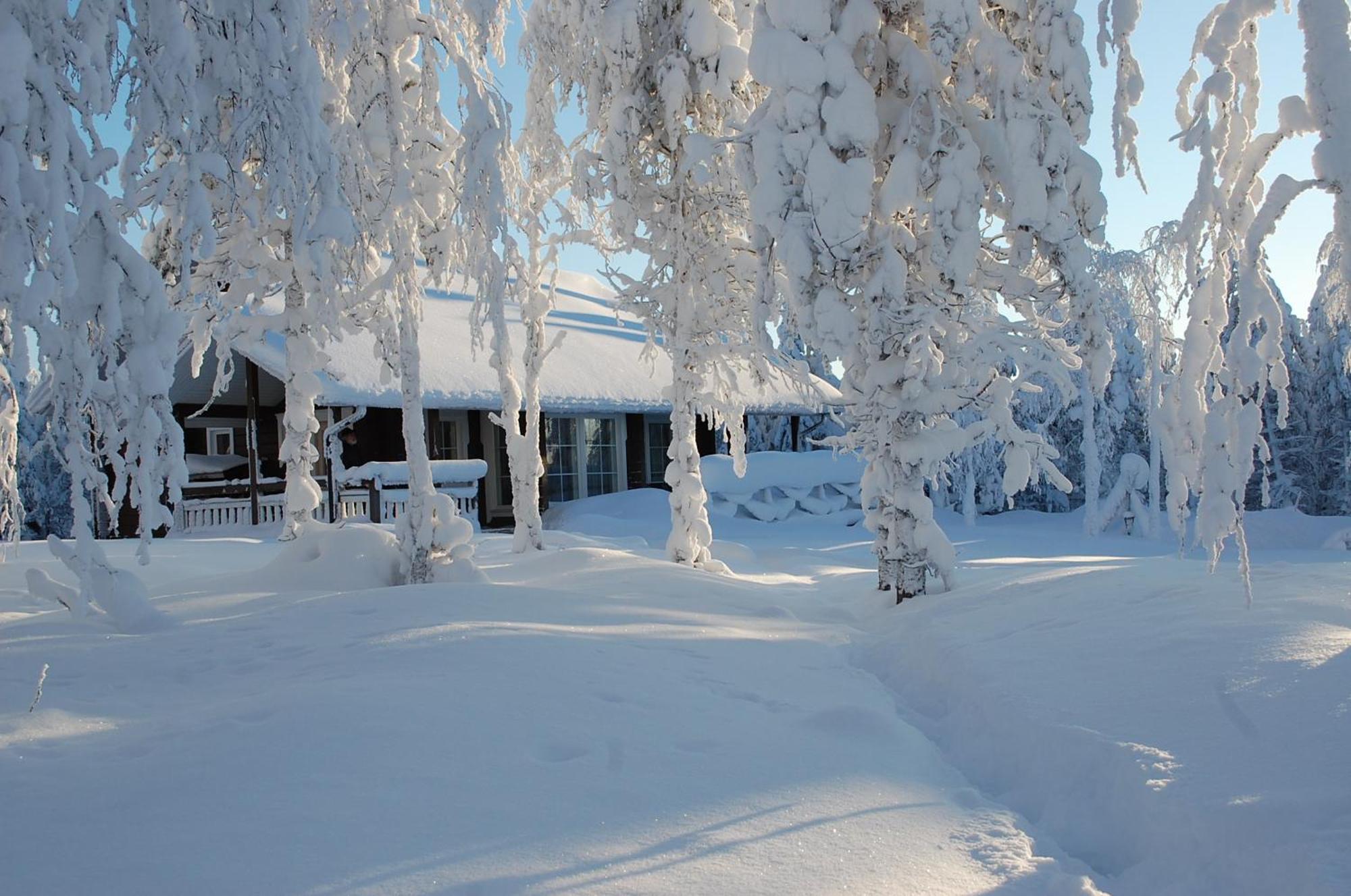 Rukanelioe Cottage Buitenkant foto