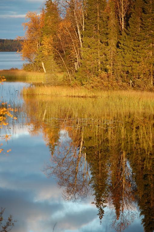 Rukanelioe Cottage Buitenkant foto