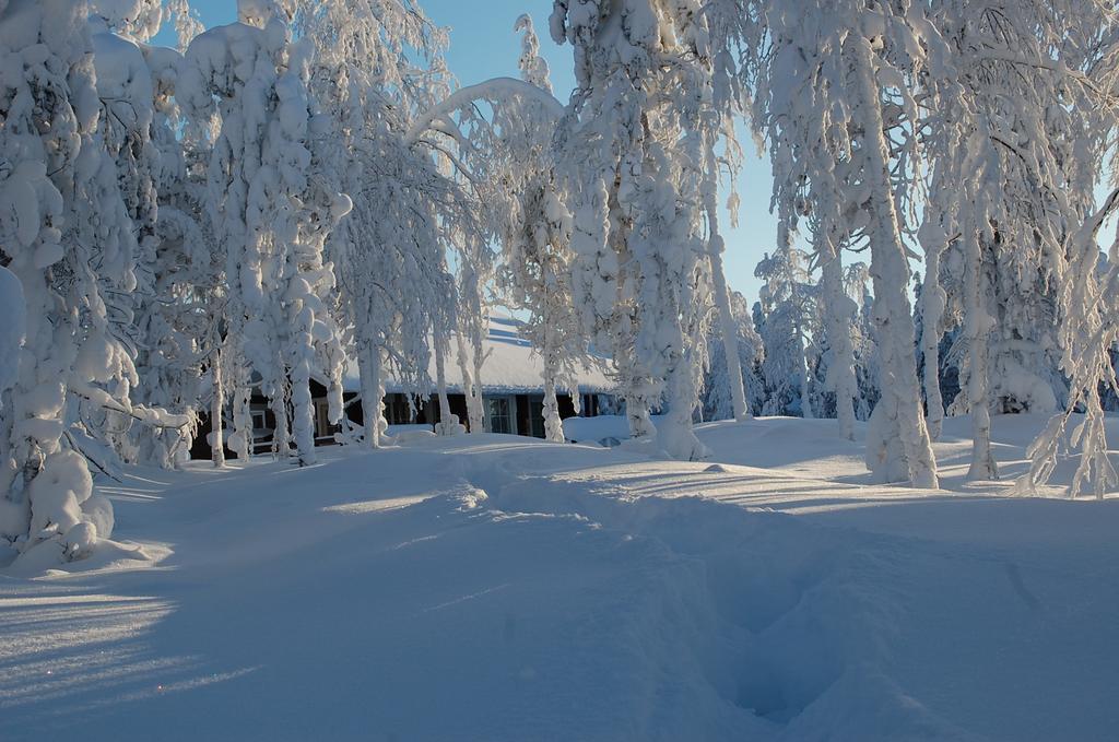 Rukanelioe Cottage Buitenkant foto