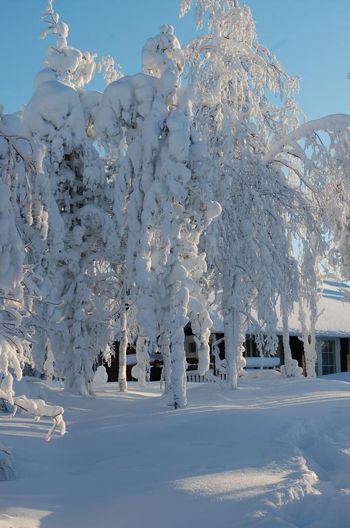 Rukanelioe Cottage Buitenkant foto